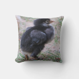 kyckling, chickar, kycklingar, chick, djur, fåglar kudde