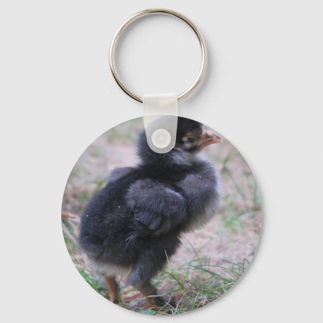 kyckling, chickar, kycklingar, chick, djur, fåglar nyckelring (Framsida)