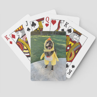 kyckling hund casinokort