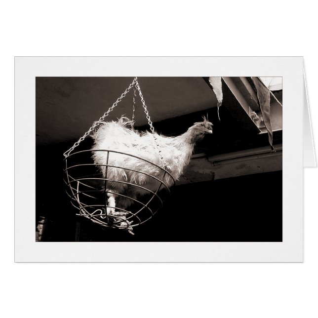 Kyckling i Basket Hälsningskort (Framsidan Horizontal)