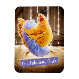 Kyckling i en tutu magnet