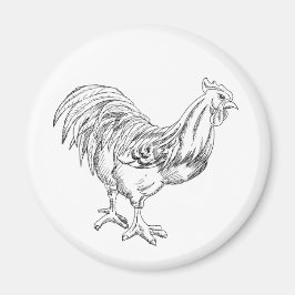 Kyckling i Pen & Bläck Magnet