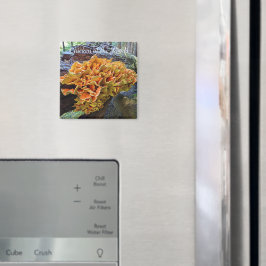 Kyckling i Skogen Mushroom Photo Magnet