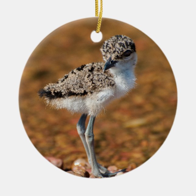 Kyckling Julgransprydnad Keramik (Framsidan)