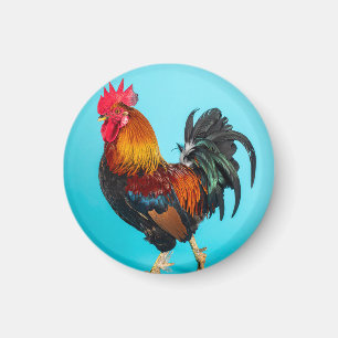 kyckling magnet