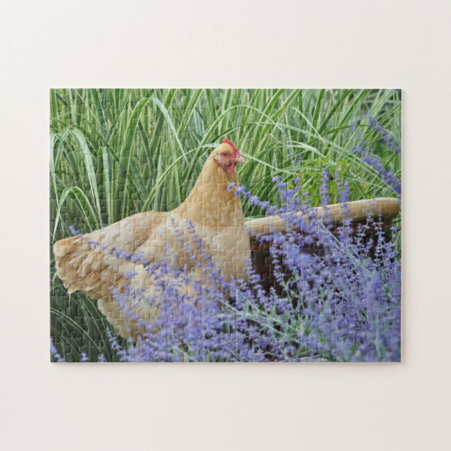 Kyckling med rysk sperma pussel (Horisontell)