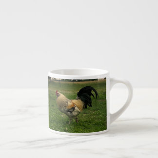 Kyckling på gårdsfoto espressomugg