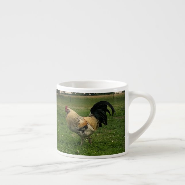 Kyckling på gårdsfoto espressomugg (Höger)