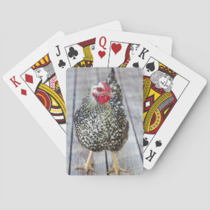 Kyckling på trädäck, Silver Laced Wyandotte Casinokort