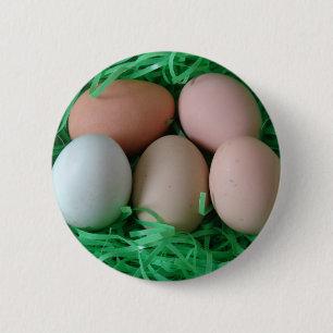 Kycklingägg Knapp