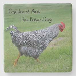 Kycklingar är den nya Hund Stenunderlägg