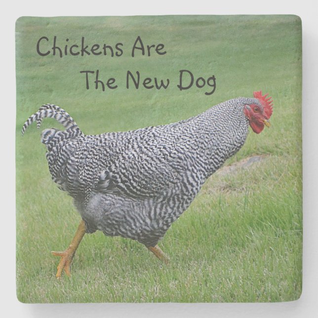 Kycklingar är den nya Hund Stenunderlägg (Framsidan)