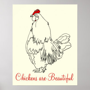 Kycklingar är vackra Rollig Tupp Konst Ritning Poster