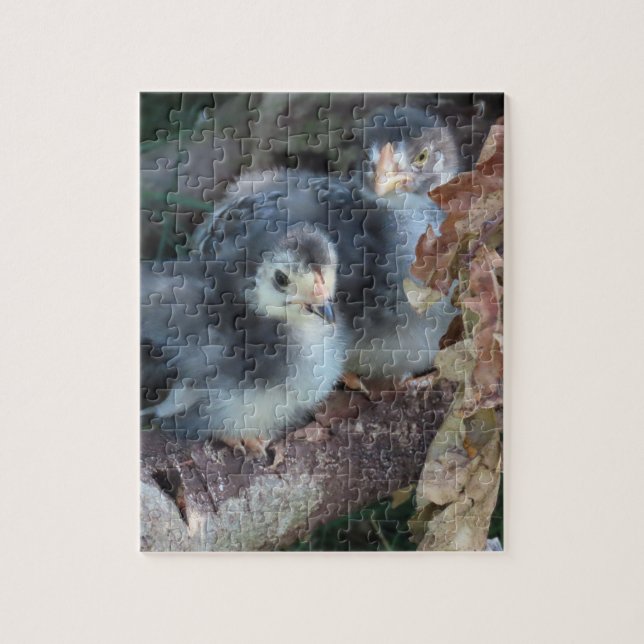 Kycklingar chickar pussel (Vertikal)