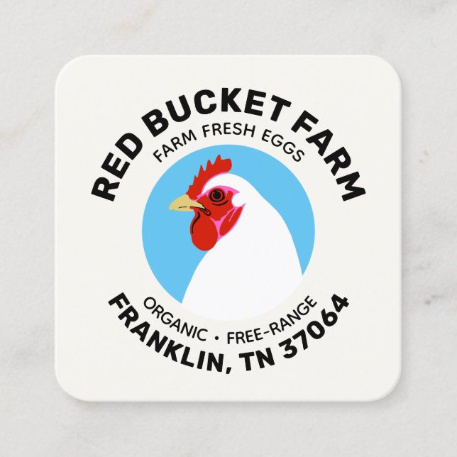 Kycklingar Fresh Eggs Modern Fyrkantigt Visitkort (Framsida)