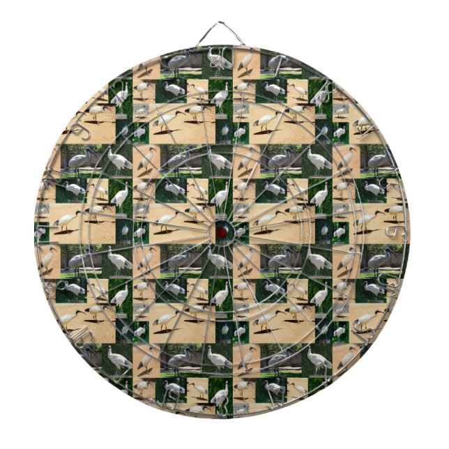 Kycklingar i tunna: Fotokollage av Ibis Darttavla (Framsidan)