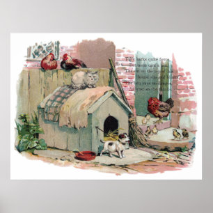 Kycklingar, katt och Hund Poster