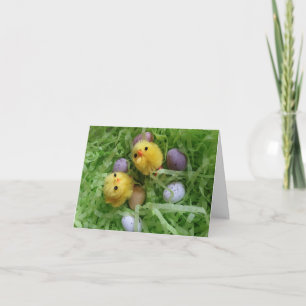 Kycklingar och ägg kort