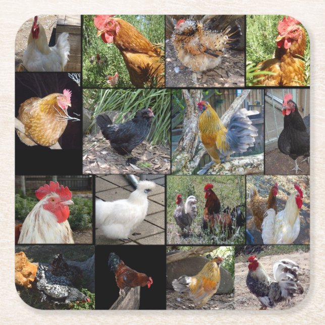 Kycklingar och Tuppar fotokollage. Underlägg Papper Kvadrat (Framsidan)