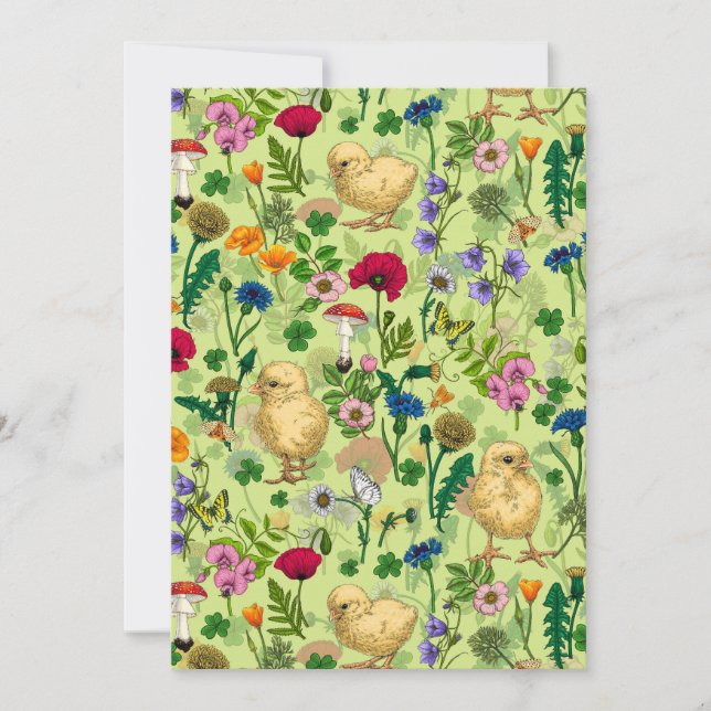 Kycklingar och vilda blommor på honungsdagg grönt (Framsida)