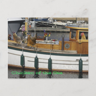 Kycklingar till havs - Humor Vykort