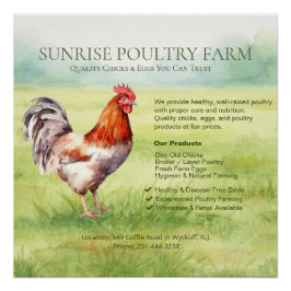 Kycklingfarm Glansig Affisch Perfect Poster