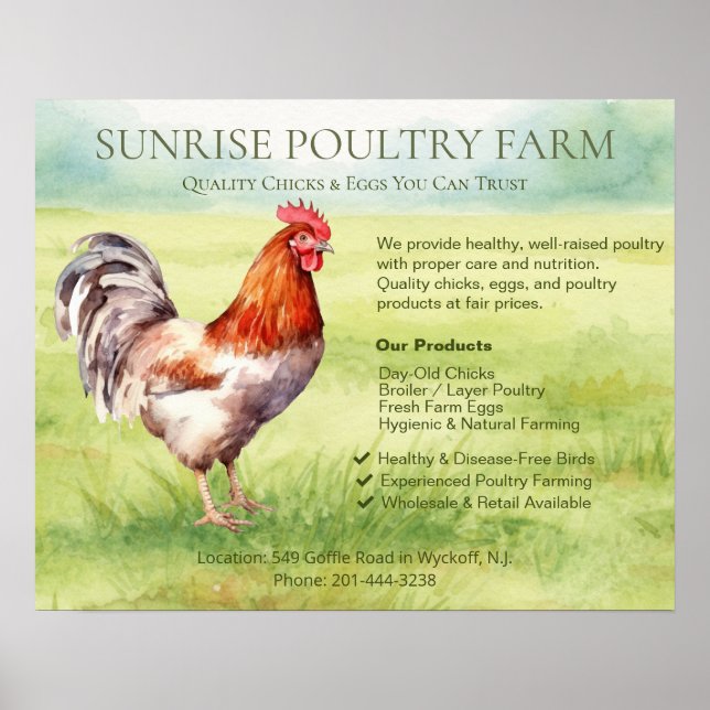 Kycklingfarm Poster (Framsidan)