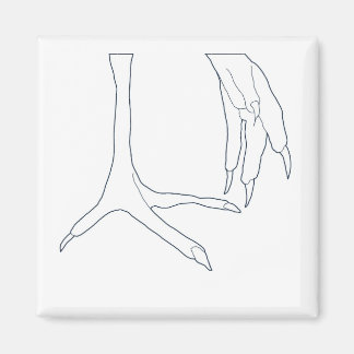 kycklingfötter magnet