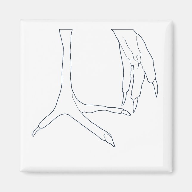 kycklingfötter magnet (Framsidan)