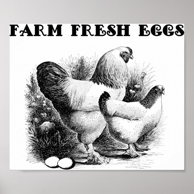 Kycklinggård Fresh Eggs Art Poster (Framsidan)