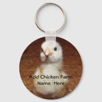 Kycklinghylsa-nyckelkedja med Baby Chick