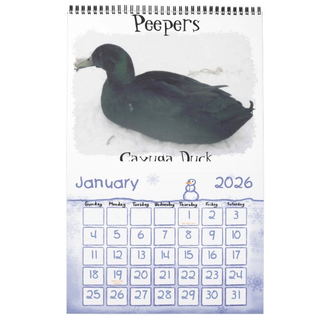 Kycklingkalender Kalender (Jan 2026)