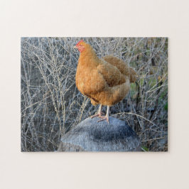 Kycklingpussel Pussel