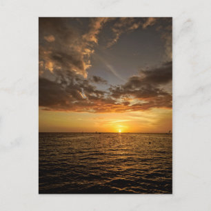 Kyl ut i Florida Sunset Postcard Vykort