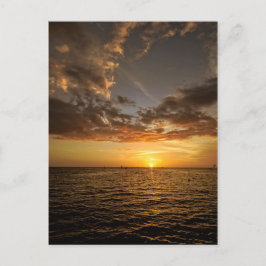 Kyl ut i Florida Sunset Postcard Vykort