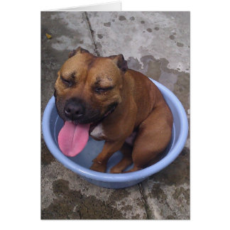 Kylar på en hett dag! hälsningskort