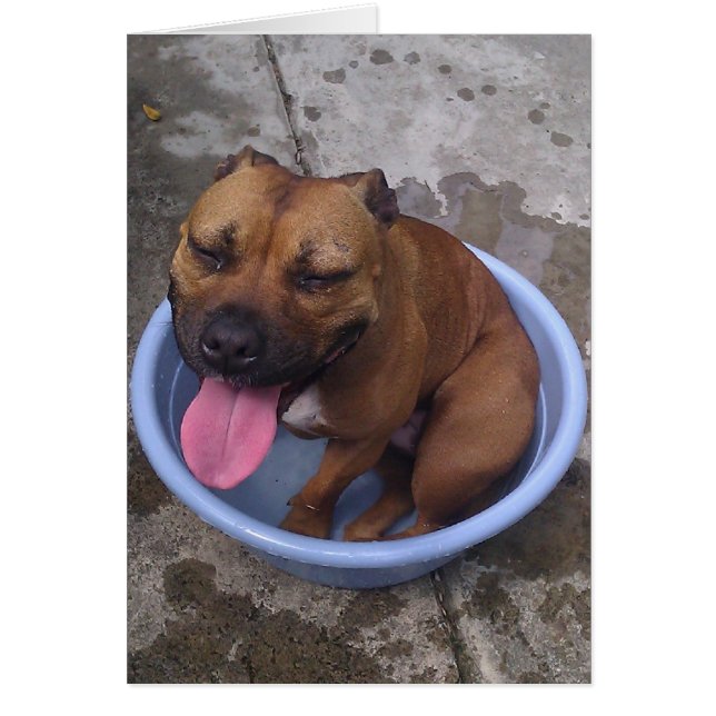 Kylar på en hett dag! hälsningskort (Framsidan)