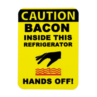 Kylare Bacon Security Magnet