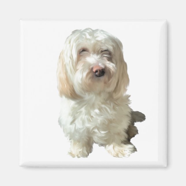 Kylare Magnet Havanese Hund (Framsidan)