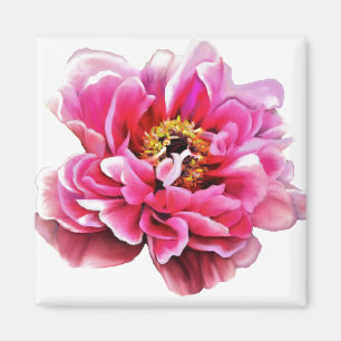 Kylare Magnet Rosa Peony