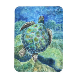 Kylare Magnet Sea Turtle #2