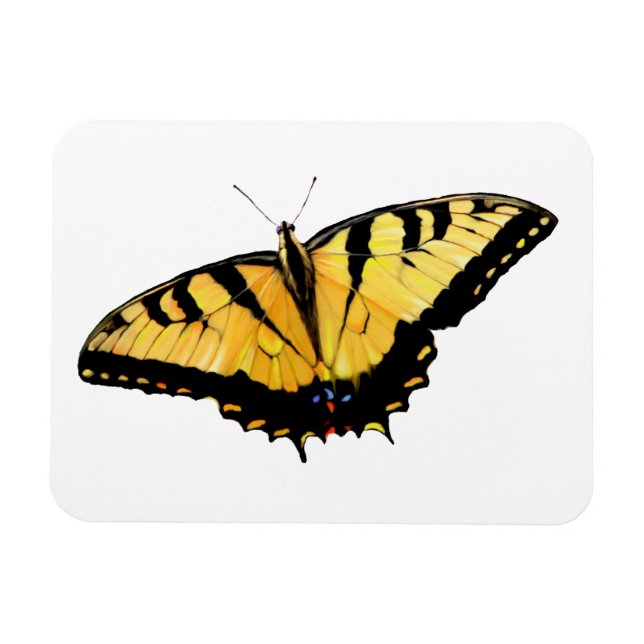 Kylare Tiger Swallowtail Butterfly Magnet (Horisontell)