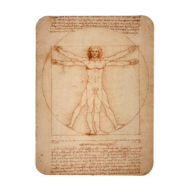 Kylare Vitruvian Man av Leonardo da Vinci Magnet (Vertikal)