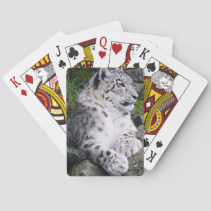 Kyld ut snöLeopard Kortlek