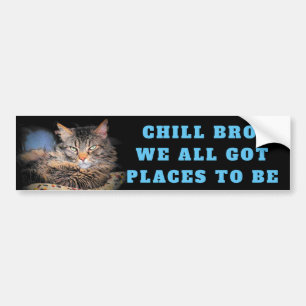 Kyliga Bro, oss all harställen som är katt Meme Bildekal