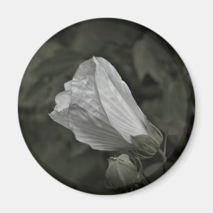 Kylmagnet för träsket Ro Mallow Magnet