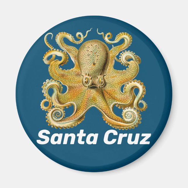 Kylmagnet Santa Cruz Magnet (Framsidan)