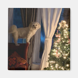 Kylmagnet väntar på Santa Tass Magnet