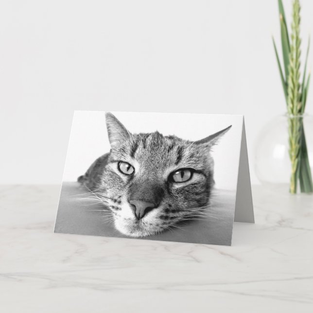 Kylning av hälsningskort kort (Framsida)