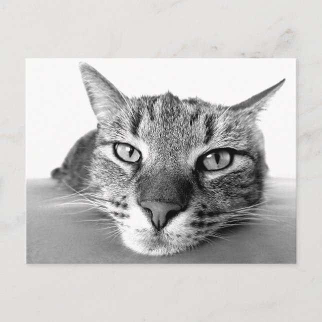 Kylning av vykort (Framsida)